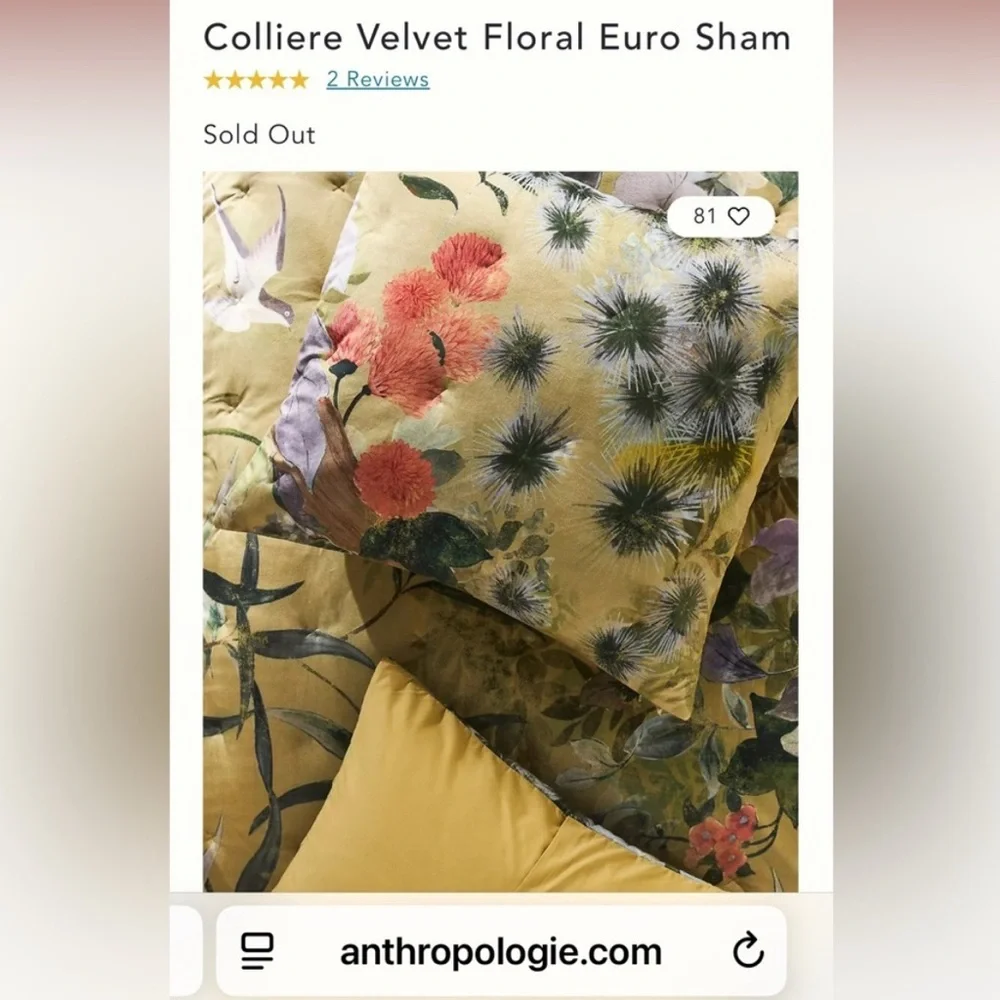 Anthropologie reposhing this